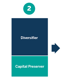 Consider a capital preserver chart thumbnail
